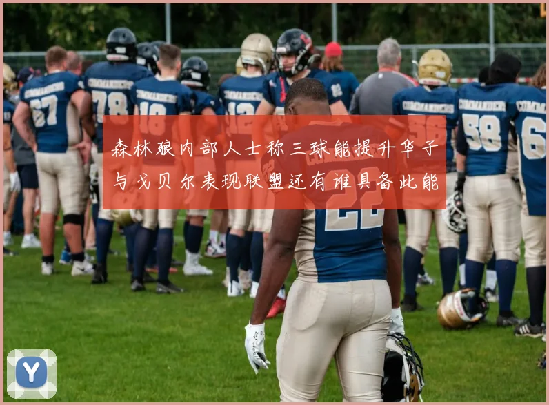 森林狼内部人士称三球能提升华子与戈贝尔表现联盟还有谁具备此能力